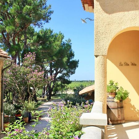 Le Clos Vitis Violes Exterior photo